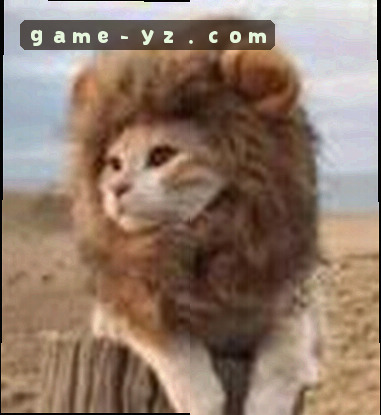 吴婷